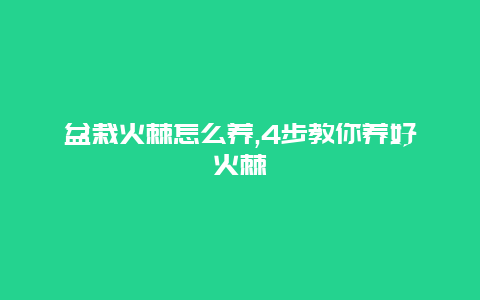 盆栽火棘怎么养,4步教你养好火棘