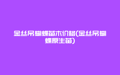 金丝吊蝴蝶苗木价格(金丝吊蝴蝶原生苗)