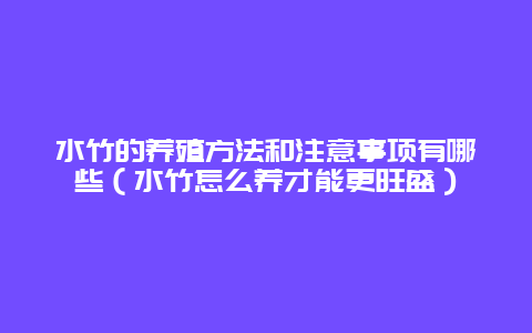 水竹的养殖方法和注意事项有哪些（水竹怎么养才能更旺盛）