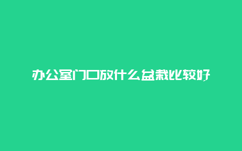 办公室门口放什么盆栽比较好