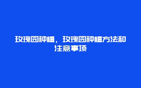 玫瑰园种植，玫瑰园种植方法和注意事项