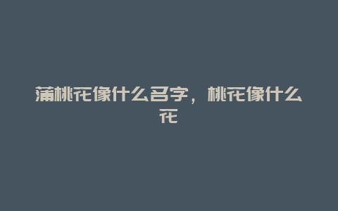 蒲桃花像什么名字，桃花像什么花