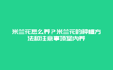 米兰花怎么养？米兰花的种植方法和注意事项室内养