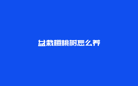 盆栽樱桃树怎么养