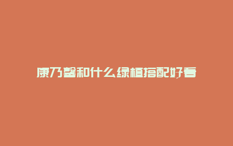 康乃馨和什么绿植搭配好看