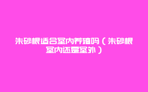 朱砂根适合室内养殖吗（朱砂根室内还是室外）