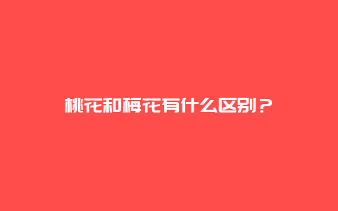 桃花和梅花有什么区别？