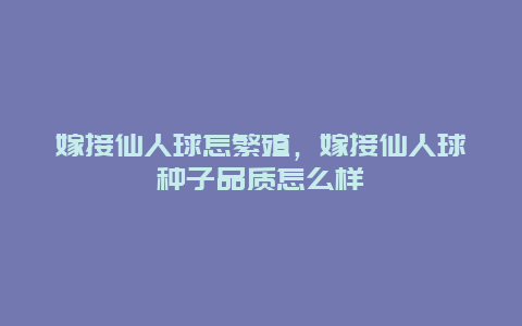 嫁接仙人球怎繁殖，嫁接仙人球种子品质怎么样