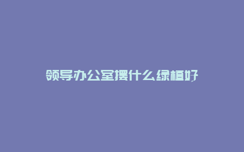 领导办公室摆什么绿植好