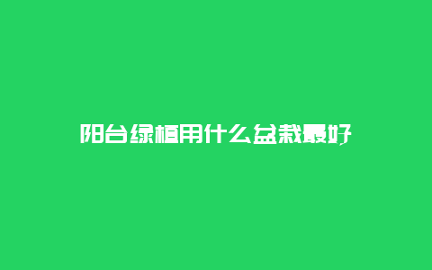 阳台绿植用什么盆栽最好