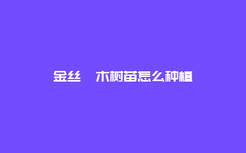 金丝楠木树苗怎么种植