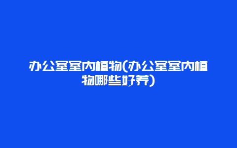 办公室室内植物(办公室室内植物哪些好养)