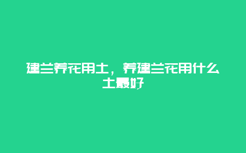 建兰养花用土，养建兰花用什么土最好