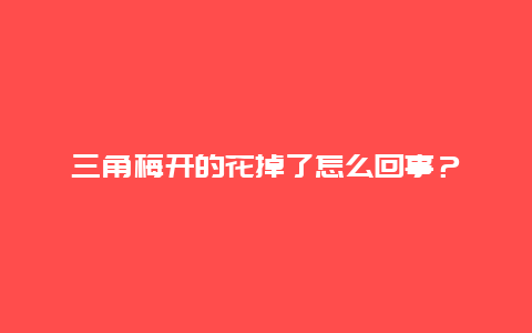 三角梅开的花掉了怎么回事？