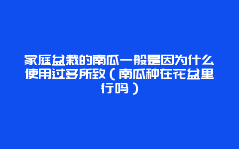 家庭盆栽的南瓜一般是因为什么使用过多所致（南瓜种在花盆里行吗）