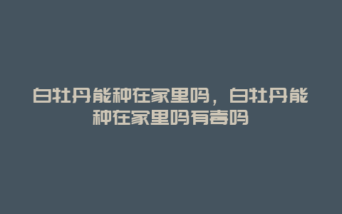 白牡丹能种在家里吗，白牡丹能种在家里吗有毒吗