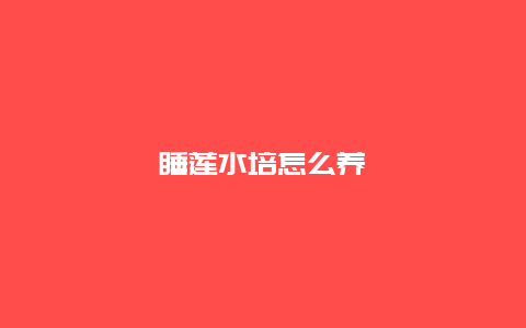 睡莲水培怎么养