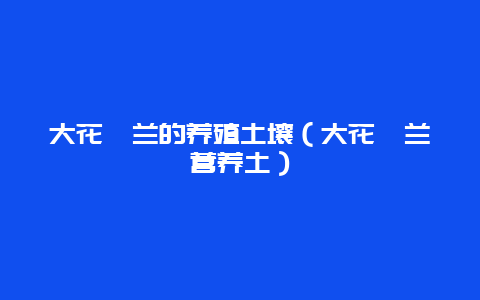 大花蕙兰的养殖土壤（大花蕙兰营养土）