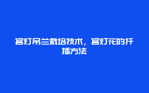 宫灯吊兰栽培技术，宫灯花的扦插方法