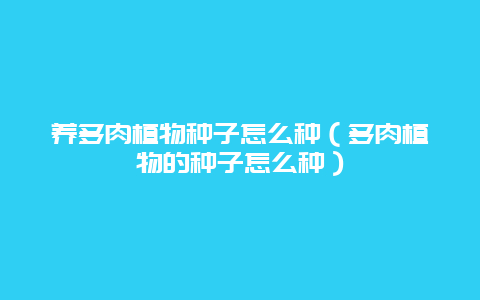 养多肉植物种子怎么种（多肉植物的种子怎么种）