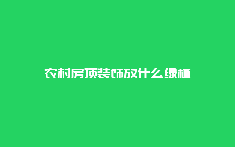 农村房顶装饰放什么绿植