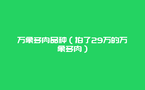 万象多肉品种（拍了29万的万象多肉）