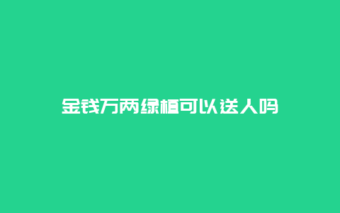 金钱万两绿植可以送人吗