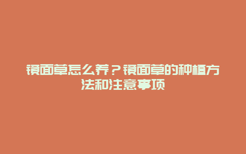 镜面草怎么养？镜面草的种植方法和注意事项