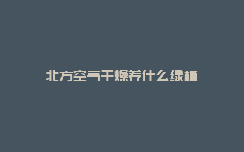 北方空气干燥养什么绿植