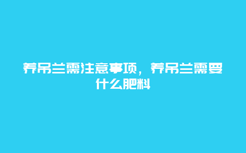 养吊兰需注意事项，养吊兰需要什么肥料