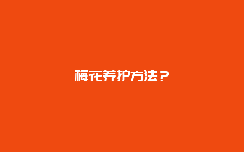 梅花养护方法？