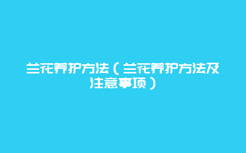 兰花养护方法（兰花养护方法及注意事项）