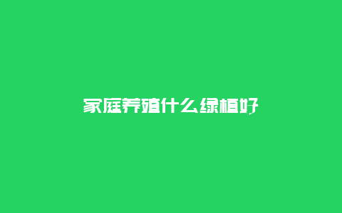 家庭养殖什么绿植好