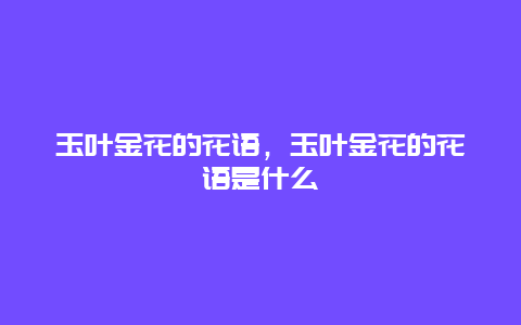 玉叶金花的花语，玉叶金花的花语是什么