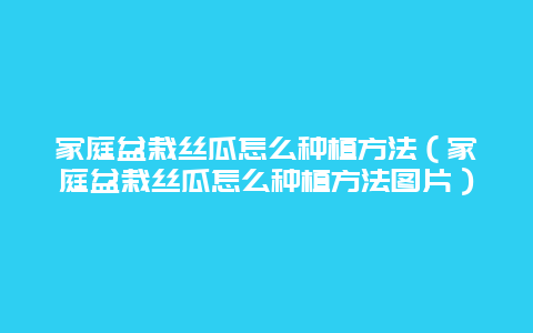 家庭盆栽丝瓜怎么种植方法（家庭盆栽丝瓜怎么种植方法图片）