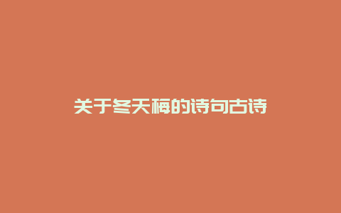 关于冬天梅的诗句古诗