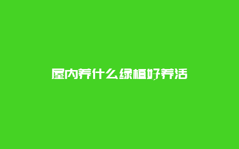 屋内养什么绿植好养活