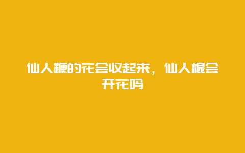 仙人鞭的花会收起来，仙人棍会开花吗