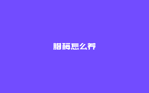 腊梅怎么养