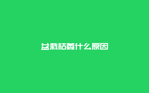 盆栽枯萎什么原因