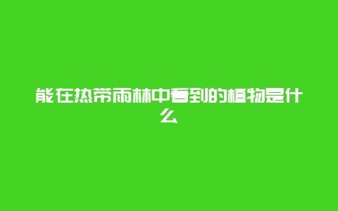 能在热带雨林中看到的植物是什么