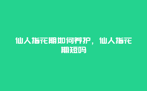 仙人指花期如何养护，仙人指花期短吗