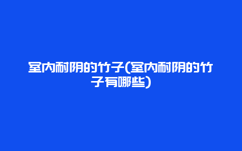 室内耐阴的竹子(室内耐阴的竹子有哪些)