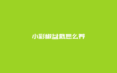 小彩椒盆栽怎么养