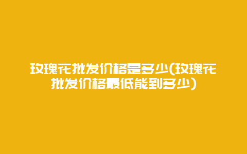 玫瑰花批发价格是多少(玫瑰花批发价格最低能到多少)