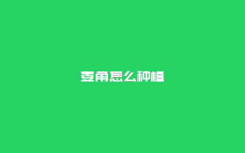 菱角怎么种植