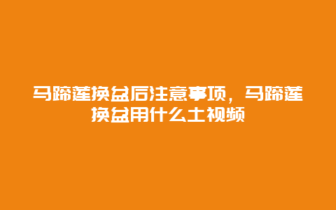 马蹄莲换盆后注意事项，马蹄莲换盆用什么土视频