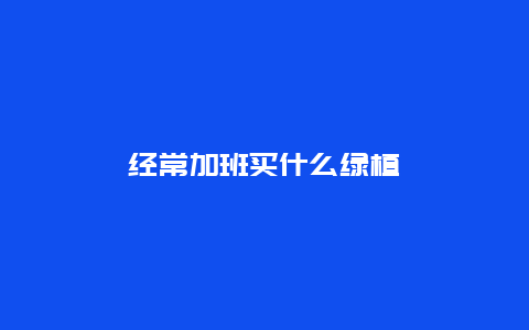 经常加班买什么绿植