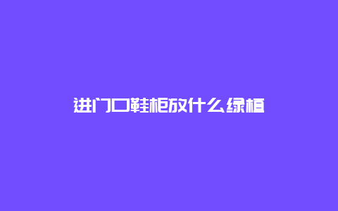 进门口鞋柜放什么绿植