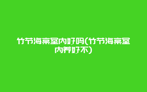 竹节海棠室内好吗(竹节海棠室内养好不)